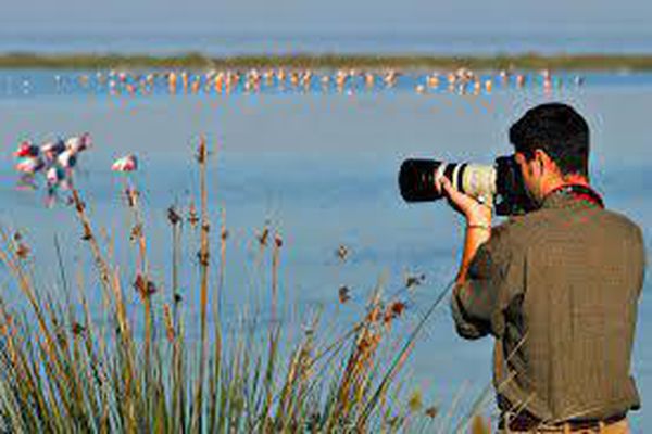Hotel e Birdwatching a Cervia Delta del Po